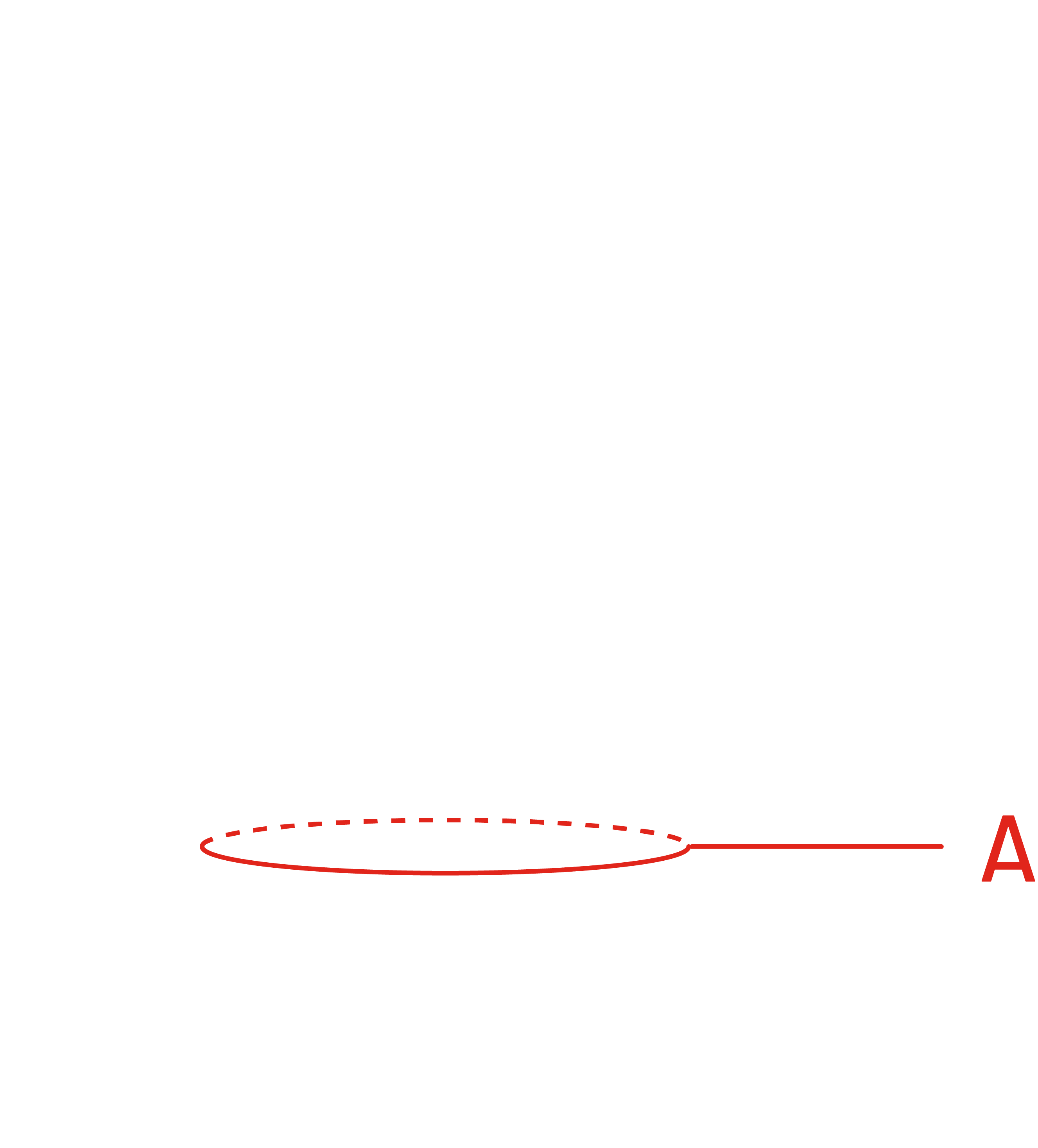 Størrelsesguide